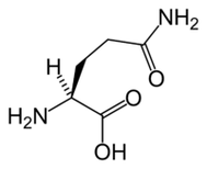 L-glutamine dina Keto Diet