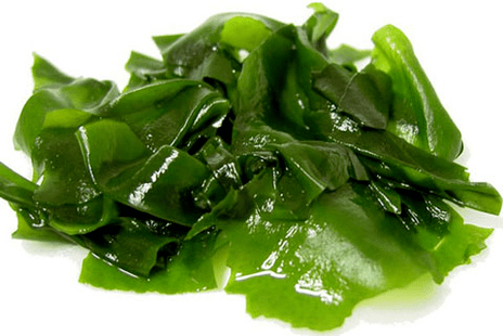 Laminaria salaku bagian tina Keto Diet